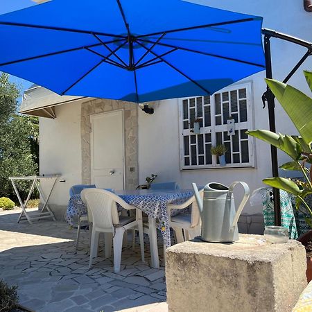 B&B Villa Mediterranee Con Parking Space 特拉尼 外观 照片