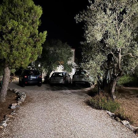 B&B Villa Mediterranee Con Parking Space 特拉尼 外观 照片