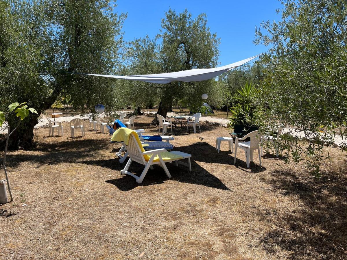B&B Villa Mediterranee Con Parking Space 特拉尼 外观 照片