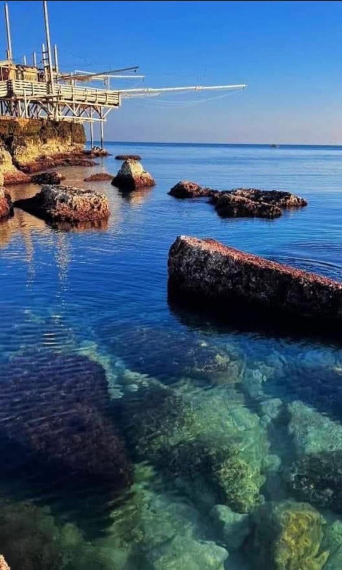 B&B Villa Mediterranee Con Parking Space 特拉尼 外观 照片