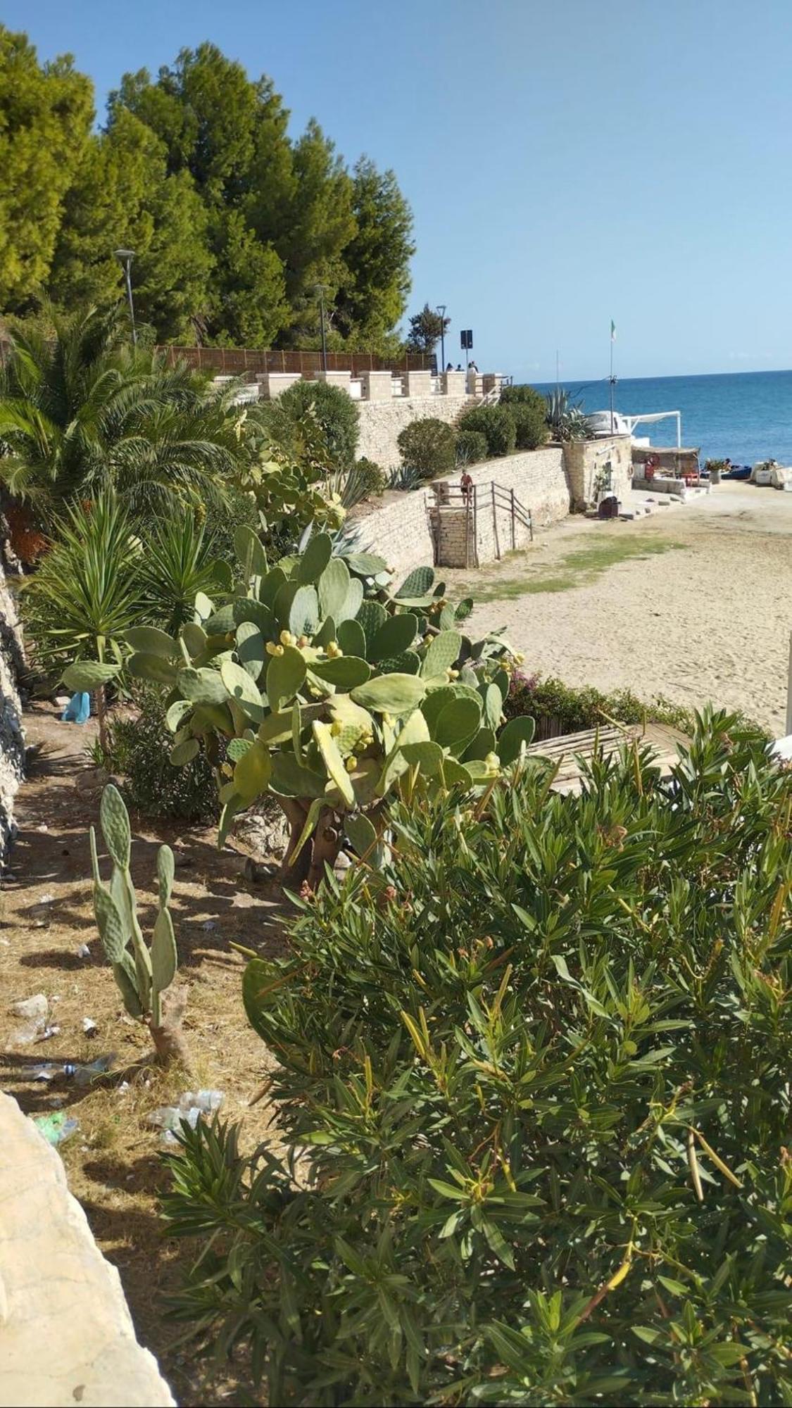 B&B Villa Mediterranee Con Parking Space 特拉尼 外观 照片
