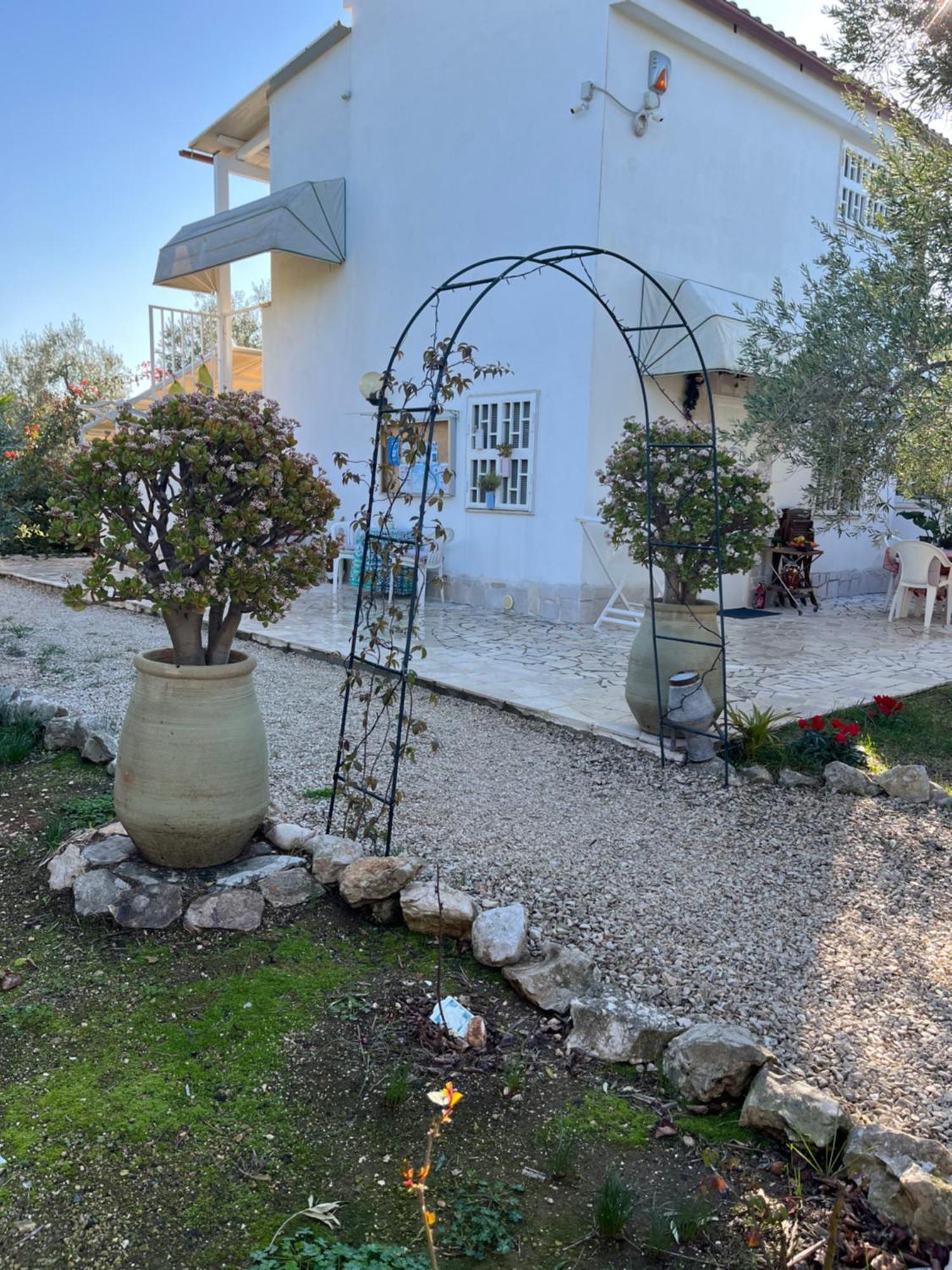 B&B Villa Mediterranee Con Parking Space 特拉尼 外观 照片