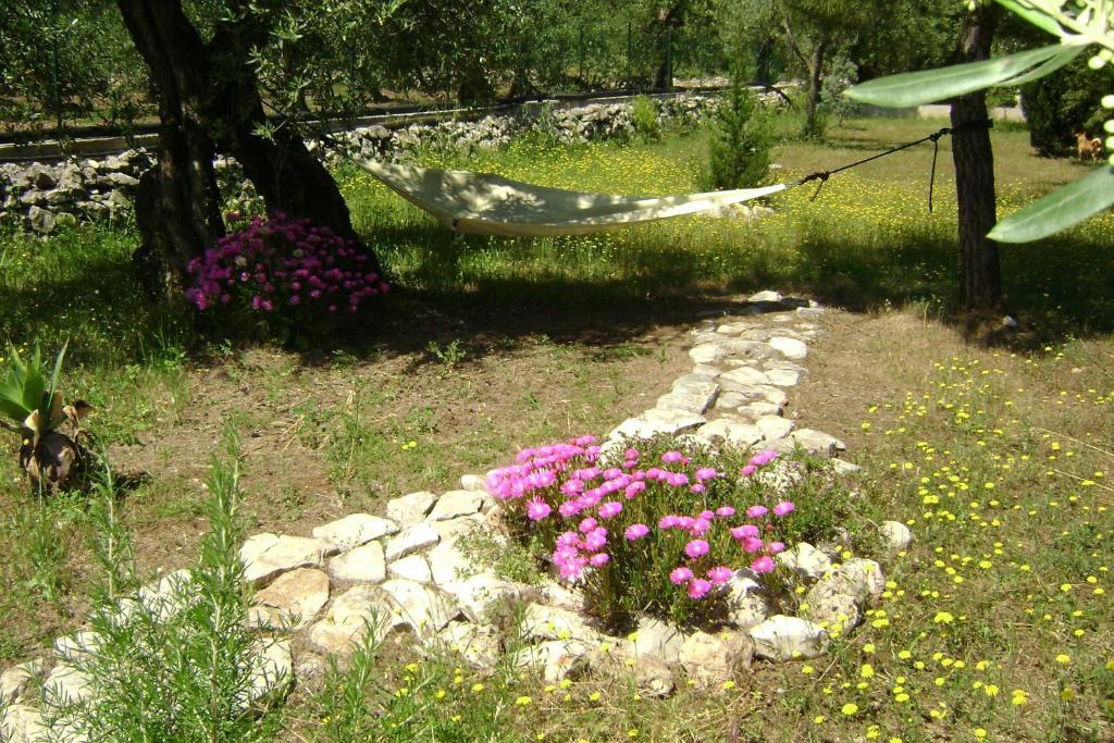 B&B Villa Mediterranee Con Parking Space 特拉尼 外观 照片