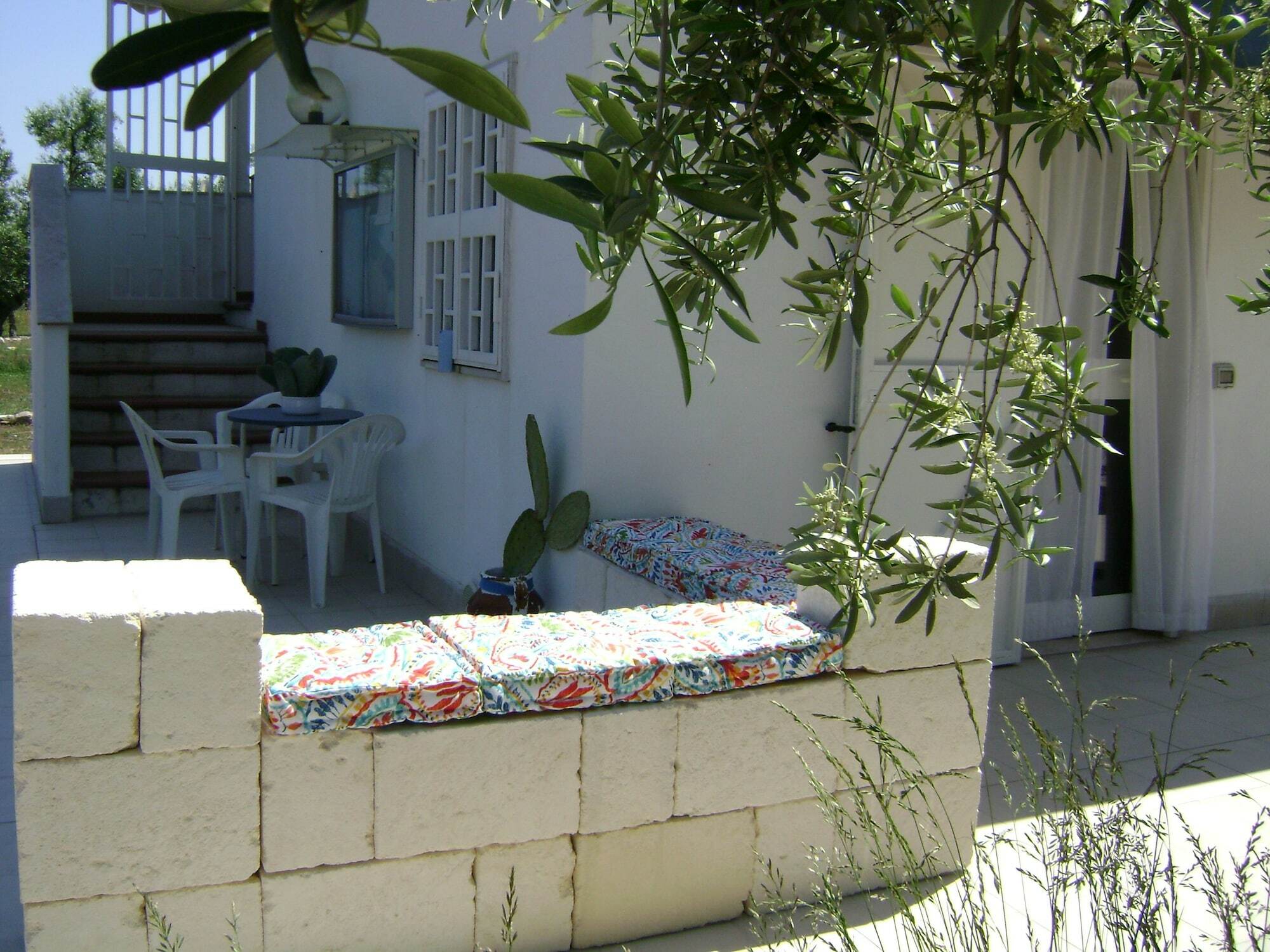 B&B Villa Mediterranee Con Parking Space 特拉尼 外观 照片